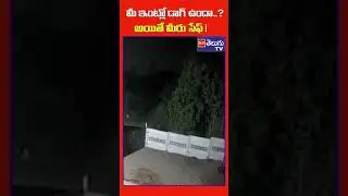 కుక్క కాదు దేవుడు.. ! | Pet Dog Saves Man Life | ManaTeluguTV
