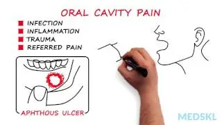 Ears, Nose, and Throat &ndash; Mouth Problems: By Doug Angel M.D.