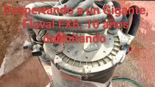 Fluval FX6,. Despertando un gigante. 