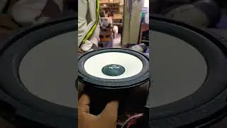Apex 8inch speaker #bass test 😂