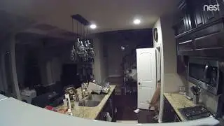 Dez the Dog Escape Artist