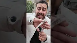 Ms Aisha's market We inform you about the golden punishment found on the Egyptian#shorts  #الخميائي