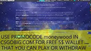 CSGOBIG.COM 5$ PROMO CODE 