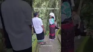 PT. Sejahtera Tours Organizer : DTW Goa Gajah, Gianyar Bali