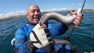 Kayak & Spear Fishing | Snapper & Butterfish | Porirua Wellington NZ