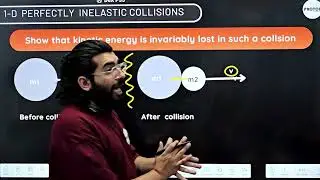 1D Perfectly inelastic collisions | W.P.E | Physics | Class - 11 | PROTON ||
