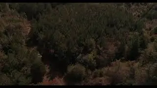 Hwy 21 & Nelson Conner Rd - Shuqualak MS - Hunting Property
