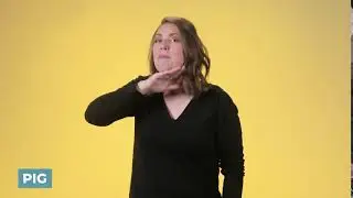 Узнайте, как передать слово &laquo;Pig&raquo; на языке жестов ASL | LearnHowToSign.org