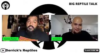 Derrick Reptiles & BosaBallz One One Chip Challenge and Satans Toe