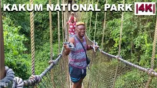 KAKUM NATIONAL PARK | DEADLIEST WALKWAY