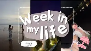 CHAOTIC WEEK IN MY LIFE LIVING IN BALI | VLOG