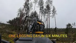 Один день лесозаготовки за шесть минут. Харвестер Ponsse Scorpion