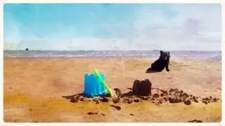 Penny Steams Day Trip to the seaside