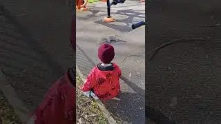 Squirrel playing with maxson in #London children park#beats #chill #