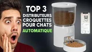 Meilleur Distributeur de Croquettes pour Chat (2025) | Top 3 Automatique