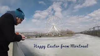 Happy easter from Montreal | Crazydivers