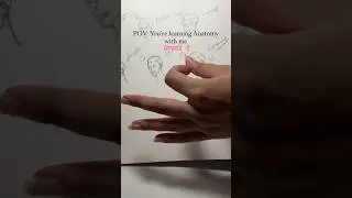 Learn Anatomy with me🤭Part 4🤌#anatomy #anatomytutorial #drawing #art #anatomylearning