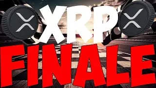Ripple XRP DAVID SCHWARTZ CONFIRMED MOONSOT INCOMING RIDDLERS WARNING BRAD'S EXCITED ITS TIME!!!