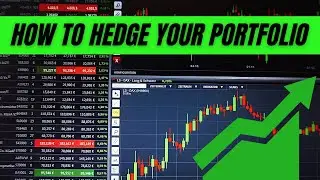How to Hedge Your Portfolio? | Strategies to Protect Your Portfolio | How hedging works in Hindi