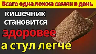 Всего одна ложка семян в день &mdash; кишечник работает как часы - здоровье 60+