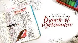 Prophecies of Jesus | Branch of Righteousness