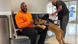 The Dog Father: &ldquo;We Got a PRESA CANARIO!&rdquo; (Ep. 81)