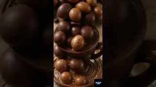 If Bees Died Out&hellip; Humanity Is Next?