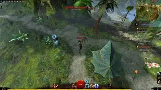 Guild Wars 2 (HOPE I Research collection) - 06 Hylek Dart Poison Gland