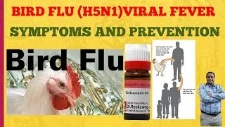 BIRD FLU(H5N1) VIRAL FEVER SYMPTOMS AND PREVENTION
