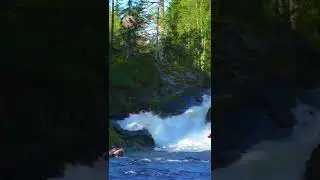 Потрясающий лесной водопад ✦ Премьера 26 10 2022  #shots
