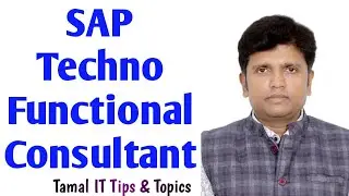 What is SAP Techno-Functional Consultant | More than one SAP modules to learn | SAP Training | HANA