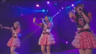 ｢ハートのキャンバス ｣ TIPINKIT 2026.1.18 @ polluxtheater 