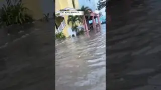 Hurricane Idalia Flooding Florida Tuesday | AccuWeather