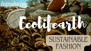 Introducing Ecolifearth's Vegan Cork Leather Handbags and Jewelry Collection