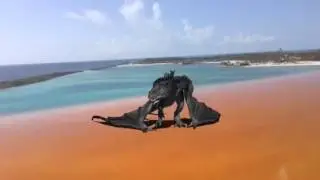 Dragon of the sea