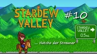 Stardew Valley #10 ❀ .... Natcho der Streuner :-) ❀ ( blind )