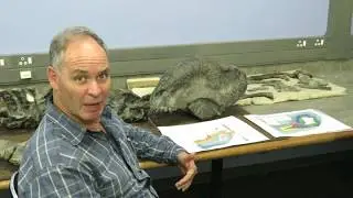 Palaeontological field exploration in the South African Karoo
