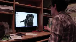 Marriaged - Dog Problems