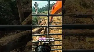 Peoses bongkar pasang jembatan kayu,,,, jangan dengerin ocehan nya ya teman&rdquo;🤣