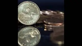 Is there any way to fight a Canadian Recession?