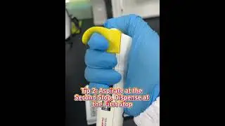 Tips for Preventing Bubbles During Pipetting into 96-Well Microplates