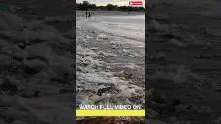 கடல் ராசா #GURUVARUL #கடல்சார்ந்தவிழிப்புணர்வுப்பாடல் #Seasong