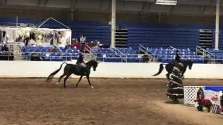 Sovereign - Desert Classic 2016