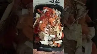 codillo de cerdo a las fina hirvas