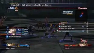 The Last Remnant - Boss 13  