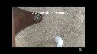 Cat Poop Carpet Cleaning with Rotovac 360i