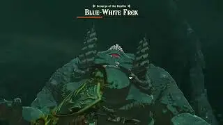 Best way to beat Frox! (TOTK)