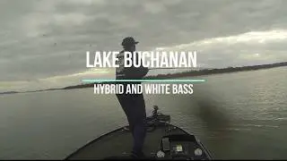 Central Texas Fishing Guide | Fishing for White and Hybrid Bass | Lake Buchanan