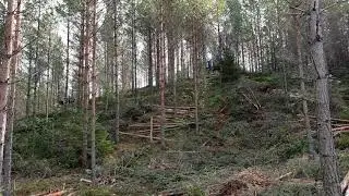 Gallringsdagarna 2018