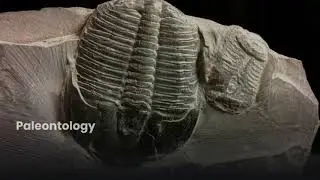 geology branches | branches in geology | geology for all | Geology GIS